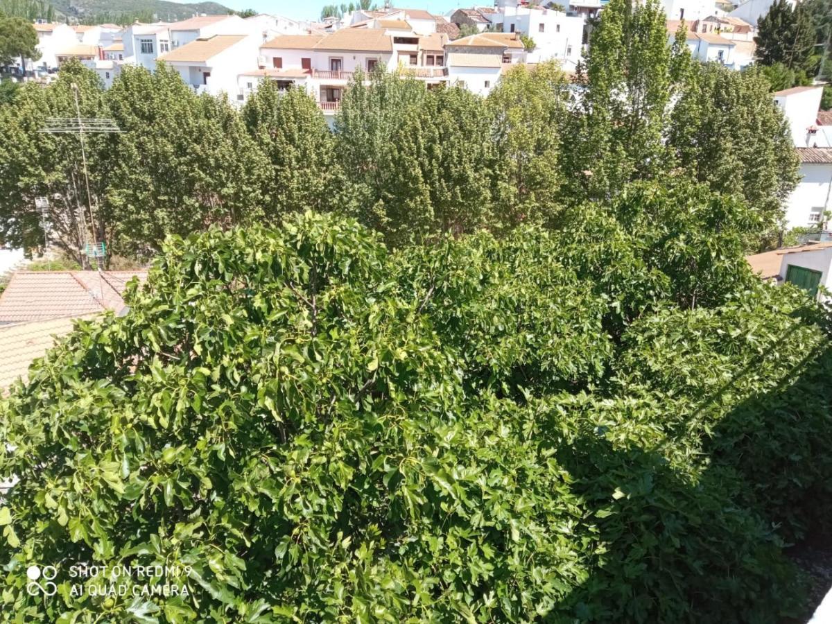 Villa Elisabeth Con Piscina Climatizada Chimenea Y Terraza Arriate Dış mekan fotoğraf