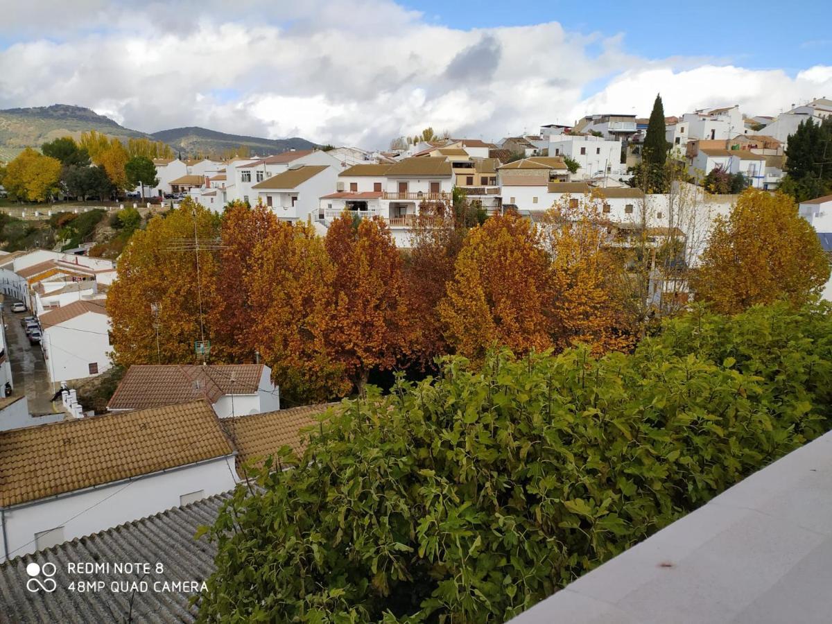 Villa Elisabeth Con Piscina Climatizada Chimenea Y Terraza Arriate Dış mekan fotoğraf